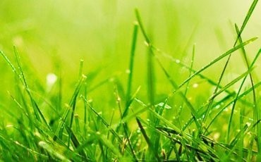 PRZYJAZNE DLA ŚRODOWISKA